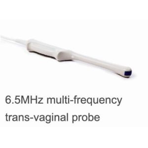 Buy cheap Portable Pregnancy Ultrasound Scanner with Abdominal Convex Transvaginal Transducers from wholesalers