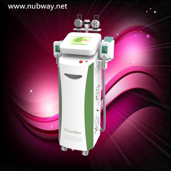 Buy cheap professional ! Freeze Cryolipolysis Anti Cellulite Fat Cavitation Rf Multifunction machine from wholesalers