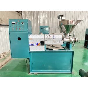 High Efficiency Automatic Small Screw Oil Press Machine Easy Operation