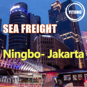 Quality NVOCC ISEA 9 Days Worldwide Sea Freight From China To Indonesia Jakarta for sale