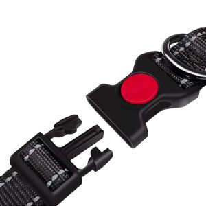 Buy cheap Reflective Adjustable Basic Simple Nylon Dog Collars With Locking Buckle from wholesalers
