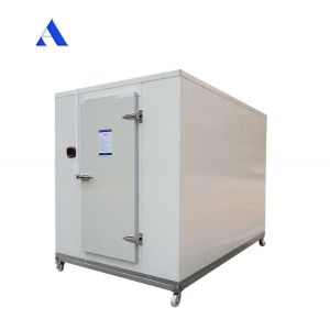 Buy cheap 2.8x2x2.2m Mini Portable Cold Storage Room with Aluminum T-Bar Floor and MGSS Outside Wall from wholesalers