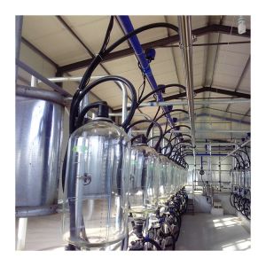 Buy cheap electrical control 60RPM Modern Milking Parlour for Buffalo from wholesalers