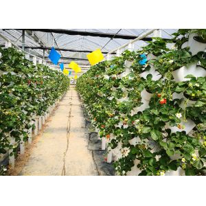 Buy cheap Automated Vertical Nft System For Vegetables Irrigation Hydroponics Eqiupment from wholesalers