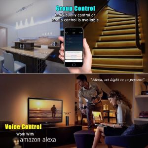 Buy cheap Glomarket Smart WiFi Wall Socket with USB 2 plug outlets Remote Control Smart Life/Tuya APP Remote Timer Setting from wholesalers