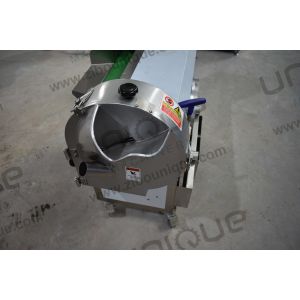 Highly Versatile Fruit and Leaf Vegetable Slice Machine with 220v/customized