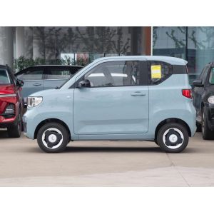 Fast Charging Mini EV Cars New Energy With Convenient Parking
