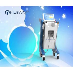 Buy cheap professional beauty equipment skin rejuvenation machine double head frational rf microneedle from wholesalers