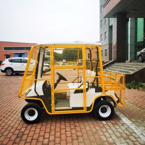 CAll Terrain Mini 2 Seater Golf Cart 2 Seats Customized