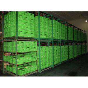 Buy cheap Agricultural Plastic Collapsible Storage Crate Customized 600*400 Mm from wholesalers