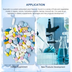 99% Purity Quercetin Bulk Supplements From Sophora Japonica Extract For Natural