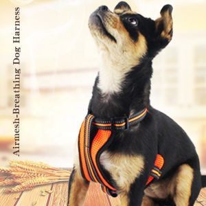 Buy cheap Reflective Pet Dog Harness And Leash No Pull Reversible Padded Adjustable Step In Mesh from wholesalers