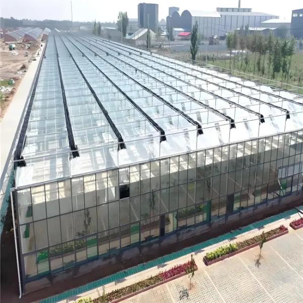 Buy cheap Intelligent Temperature-Controlled Venlo-Type Glass Greenhouse Equipped with Precision Irrigation and Environmental Monitoring Systems from wholesalers
