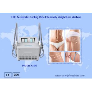 China Ems Fat Reduce Cryo Plate Machine With 4 Cooling Pads on sale