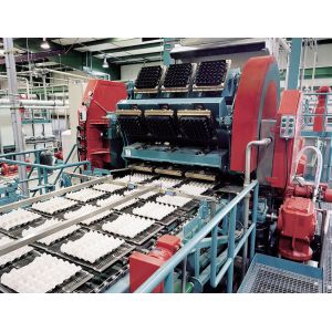 Customized Fruit Tray Making Machine