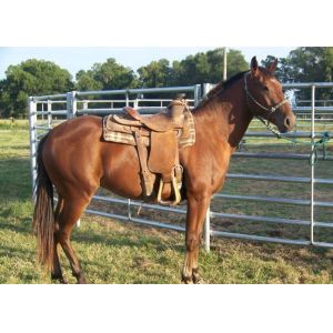 Buy cheap Galvanized Steel Tubes H1.8m Livestock Fence Panels from wholesalers