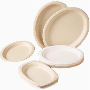 Oval Shaped Pulp Plate Disposable Sugarcane Bagasse Plates Freezer Safe