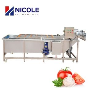 SUS 304 Bubble Fruit Vegetable Cleaning Machine Multifunctional CE Approved