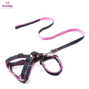 Dog Leash Puppy Collar And Leash Set 30m Retractable Dog Lead