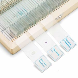 Students 100PCS Shockproof Prepared Slides For Biology