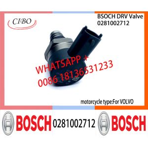 BOSCH DRV Valve 0281002712 Control Valve 0281002712 For VOL