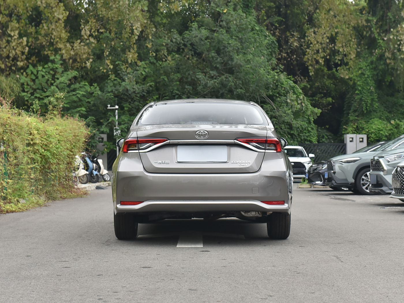 2024 Popular Used Cars Compact Car with Gasoline Energy Type and with 5.41 L