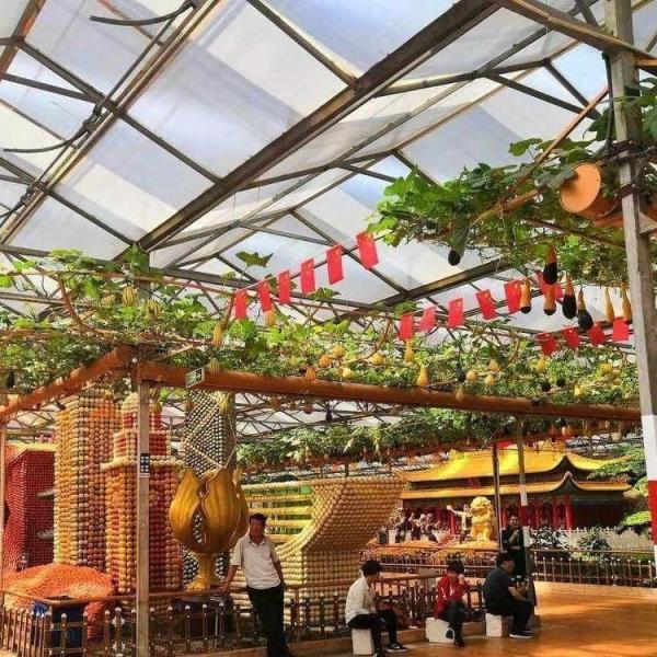 Quality Innovative Design and Innovative Hydroponic Glass Greenhouse for Growing Vegetables for sale