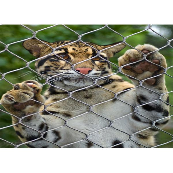 Buy cheap 7x7 Knotted SS Wire Rope Zoo Mesh Animal Enclosure from wholesalers