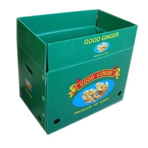 Ginger Box Ginger Plastic Box Fresh Ginger Plastic Packaging Box
