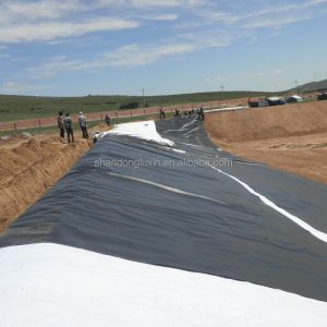 Project Solution Capability HDPE Geomembrane Pond Liner for Fish Shrimp Farming