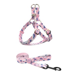 Durable Nylon Pet Leash And Harness Set Adjustable Comfortable For Small Large