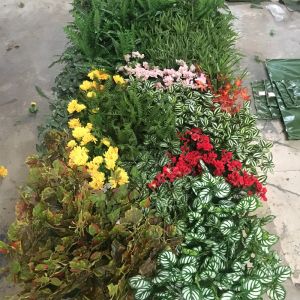 Buy cheap Eco Friendly Vertical Greening Plastic Pe Artificial Wall Grass from wholesalers