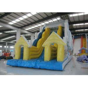 Buy cheap Big Inflatable Water Slides from wholesalers