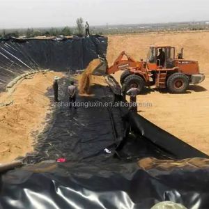 HDPE Geomembrane Pond Liner for Fish Farming and Landfill Project Solution