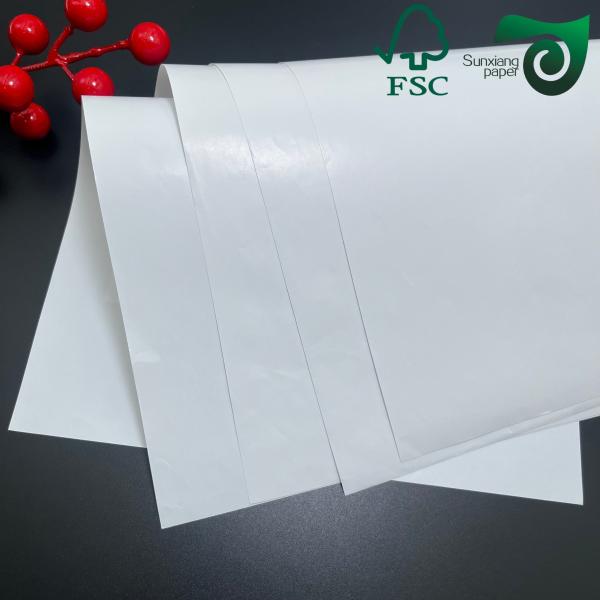 Quality Biodegradable 160um 200um White Cardboard For Advertisement Tear Resistance for sale