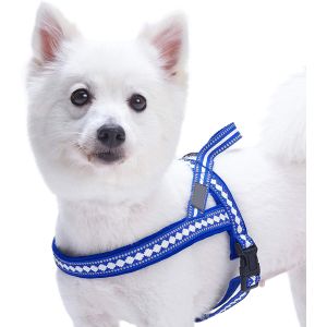 Buy cheap Stylish Dog Harness Leash 3M Reflective Neoprene Soft Polyester Webbing from wholesalers