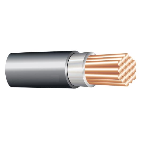 1*120 sq. mm 0.6/1 kV XLPE Insulated Cable ( Unarmoured ) ,Copper Conductor