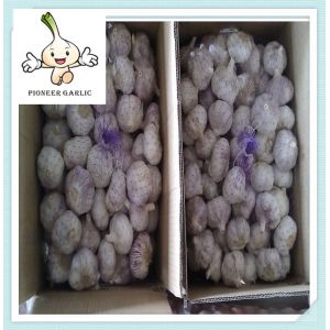 Buy cheap Popular china supplier fresh garlic chinese bulk fresh pure white garlic for sale from wholesalers