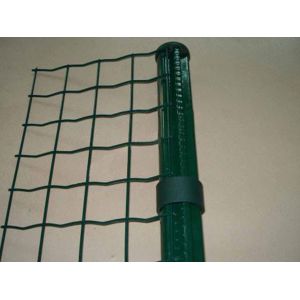 60x60mm Holland Wire Mesh Fence，14 Gauge PVC Coated Wire Mesh 3.0mm