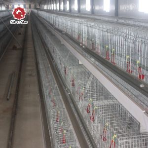 Buy cheap Farming Coop Chick Rearing Cage Chickenl Husbandry Equipment from wholesalers