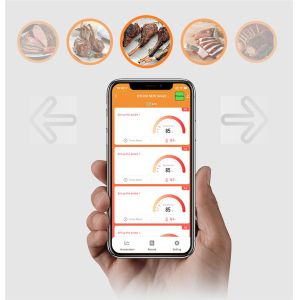 Bluetooth barbecue food thermometer(BTH08)