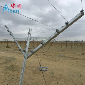 Buy cheap Popular Galvanized Metal Open Gable Trellis System 1460mm 1120mm Length from wholesalers