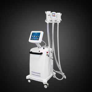 Buy cheap Non Invasive Multifunction Cavitation RF Lipolaser Cryolipolysis Slimming Machine from wholesalers