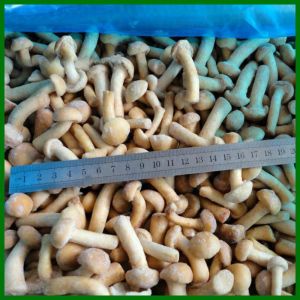 Buy cheap Frozen Pholiota Nameko Mushroon Whole from wholesalers