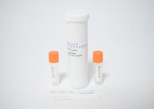 Buy cheap Strip Test Kit Manufacturing Technical Training Support Export Business product