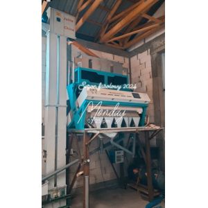Buy cheap Self Design High Frequency Ejectors Sesame Color Sorting Machine From WENYAO from wholesalers