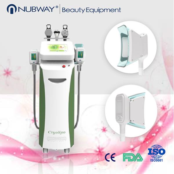Buy cheap weight reduce body shaping cryolipolysis machine cool shaping from wholesalers