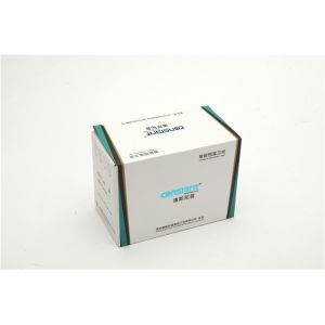 DA6 Brass Body Thermostatic Mixing Valve Water Temperature Control 304 Stainless