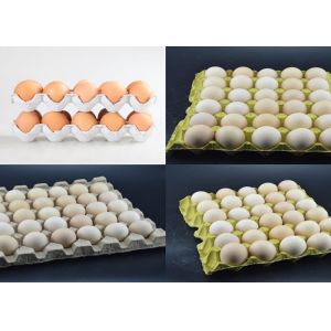 Buy cheap Egg Tray Mould Pulp Tray Machine With Plc Cabinet 2 Years Guarantee from wholesalers