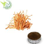 Buy cheap Natural Pure CS-4 Cordyceps Mushroom Supplement Herb Extract from wholesalers